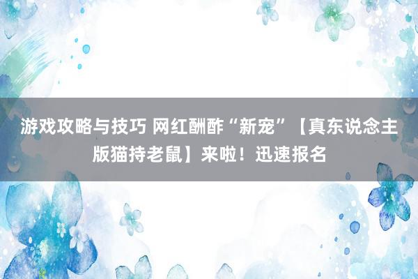 游戏攻略与技巧 网红酬酢“新宠”【真东说念主版猫持老鼠】来啦！迅速报名