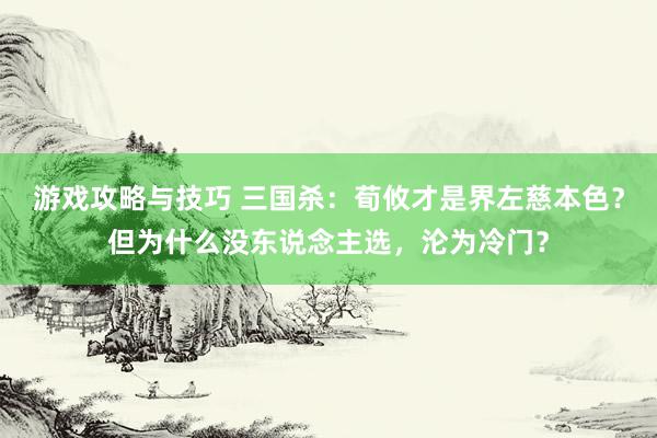 游戏攻略与技巧 三国杀：荀攸才是界左慈本色？但为什么没东说念主选，沦为冷门？