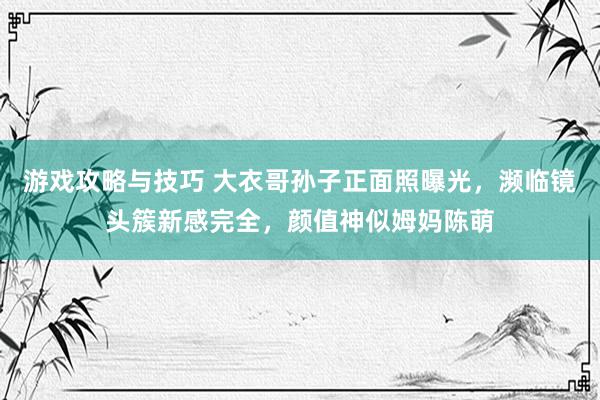 游戏攻略与技巧 大衣哥孙子正面照曝光，濒临镜头簇新感完全，颜值神似姆妈陈萌