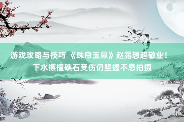 游戏攻略与技巧 《珠帘玉幕》赵露想超敬业！ 下水擦撞礁石受伤仍坚握不息拍摄