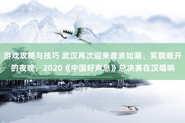 游戏攻略与技巧 武汉再次迎来音浪如潮、笑貌敞开的夜晚，2020《中国好声息》总决赛在汉唱响