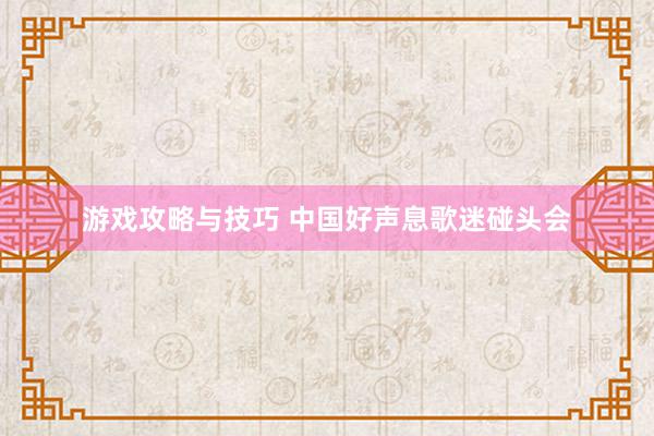 游戏攻略与技巧 中国好声息歌迷碰头会