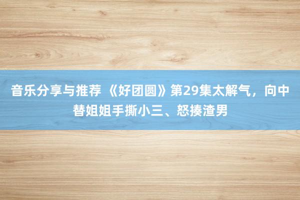 音乐分享与推荐 《好团圆》第29集太解气，向中替姐姐手撕小三、怒揍渣男