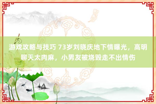 游戏攻略与技巧 73岁刘晓庆地下情曝光，高明聊天太肉麻，小男友被烧毁走不出情伤