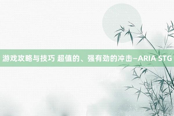 游戏攻略与技巧 超值的、强有劲的冲击—ARIA STG