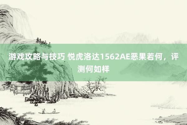 游戏攻略与技巧 悦虎洛达1562AE恶果若何，评测何如样