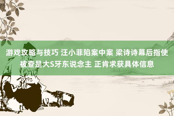 游戏攻略与技巧 汪小菲陷案中案 梁诗诗幕后指使被查是大S牙东说念主 正肯求获具体信息