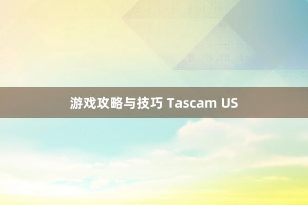 游戏攻略与技巧 Tascam US