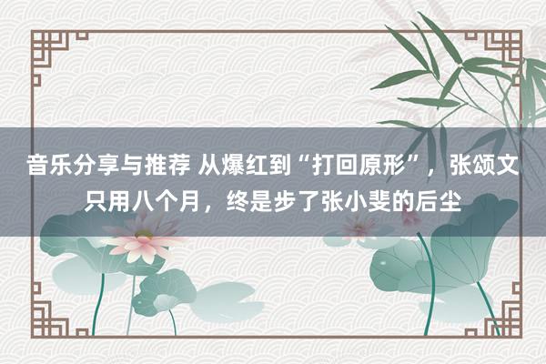 音乐分享与推荐 从爆红到“打回原形”，张颂文只用八个月，终是步了张小斐的后尘