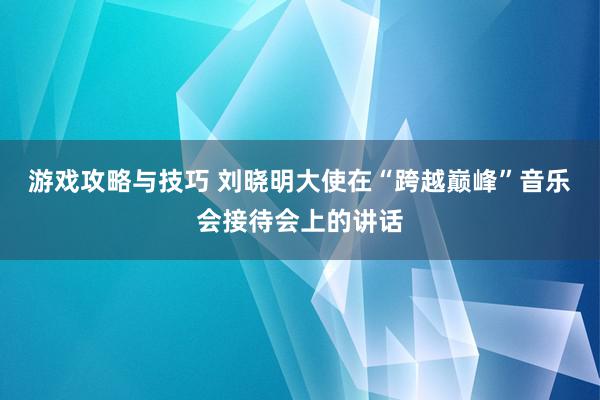 游戏攻略与技巧 刘晓明大使在“跨越巅峰”音乐会接待会上的讲话