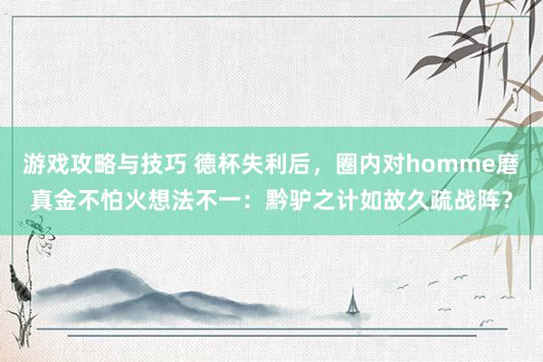 游戏攻略与技巧 德杯失利后，圈内对homme磨真金不怕火想法不一：黔驴之计如故久疏战阵？