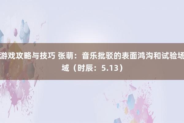 游戏攻略与技巧 张萌：音乐批驳的表面鸿沟和试验场域（时辰：5.13）