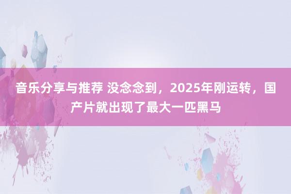 音乐分享与推荐 没念念到，2025年刚运转，国产片就出现了最大一匹黑马