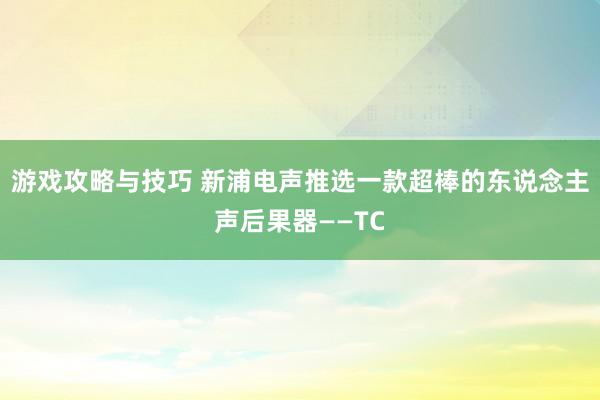 游戏攻略与技巧 新浦电声推选一款超棒的东说念主声后果器——TC