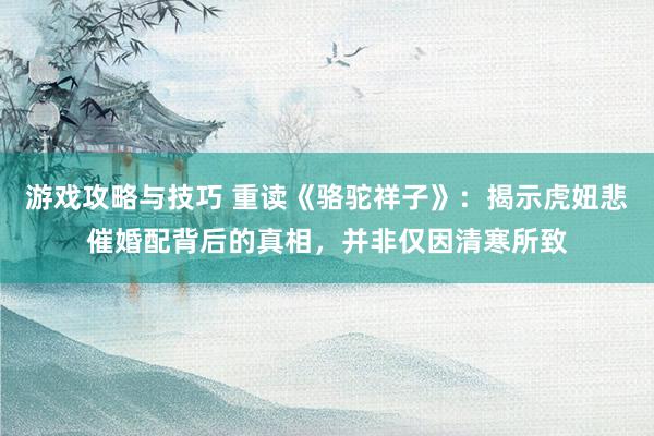 游戏攻略与技巧 重读《骆驼祥子》：揭示虎妞悲催婚配背后的真相，并非仅因清寒所致