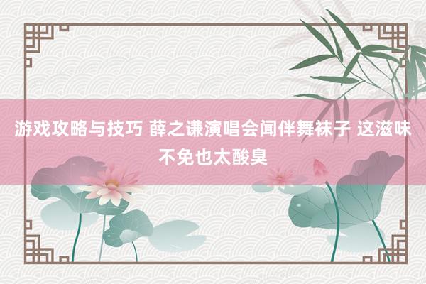 游戏攻略与技巧 薛之谦演唱会闻伴舞袜子 这滋味不免也太酸臭